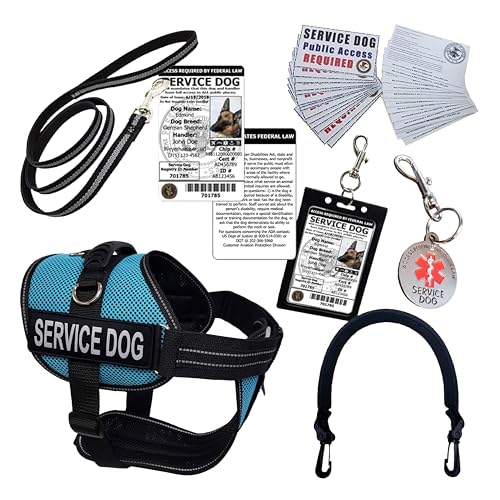 ActiveDogs Full Service Dog Kit - Large Aqua - Service