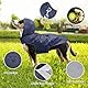 Idepet Regenmantel für Hunde mit Kragenloch Wasserdicht Reflektierend Winddicht Poncho Regenjacke mit Kapuze Hunde Regenschutz für kleine mittelgroße und große Hunde