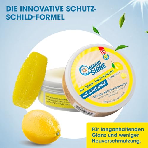 Pure100 MagicShine - Putzstein 2x 300g - Universal Reinigungsstein gegen Eingebranntes ohne Kratzer - für Küche, Bad, Edelstahl, Glas, Keramik - Magic Cleaner Allzweckreiniger mit Citrus-Duft