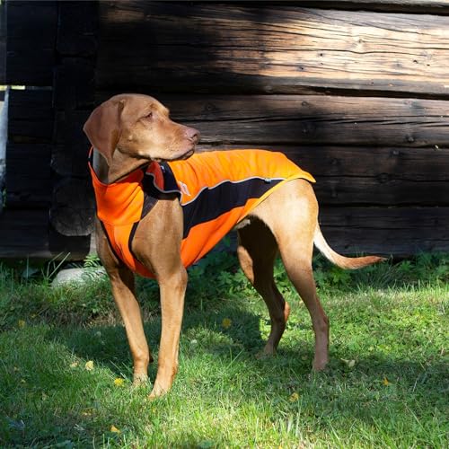 Back on Track Hundepullover Eddie reflektierend (60 cm)