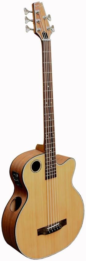 Boulder Creek EBR3-N5F Acoustic/Electric 5-String Bass, Cutaway, Solid Cedar Top/ Mahogany,Natural Satin, Fretless