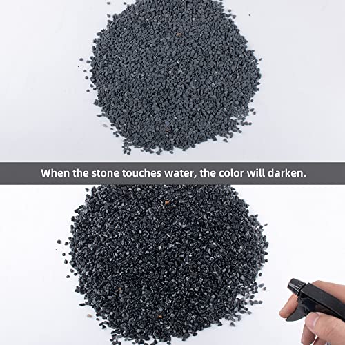 Image of 3lb Black Cactus Pea Gravel Rocks,1 /4 Inch Pebbles for Indoor Plants, Natural Succulent Rock and River Rocks Decorative for Aquariums, Vases, Outdoor Gardening, Top Dressing for Potted Plants
