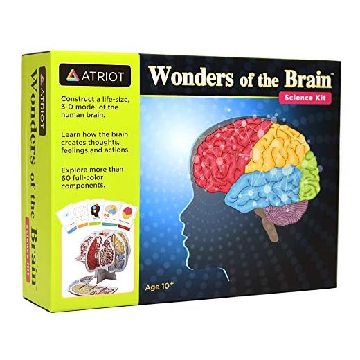 Wonders of The Brain Science Kit, Explore The Human Brain, Ages 10+