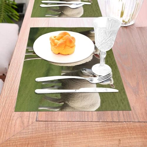 Sets de table en PVC lavables lot de 4 design mouton 45x30 cm - 6