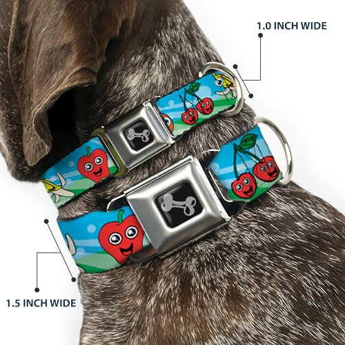 Collier de chien en forme d'os Buckle Down Fruits Cartoon2 taille large