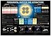 Fundamental Particles and Interactions Chart (59