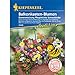 Produktbild Kiepenkerl 3349 Balkonkasten-Blumen Blumenmischung Pflegeleichte Sonnenkinder (Balkonkastennsamen)