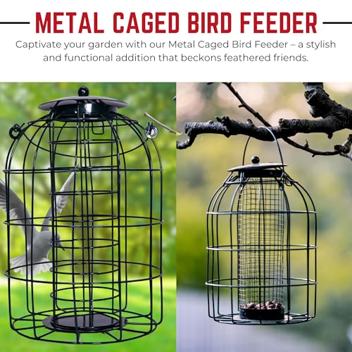 Pack of 3 Premium Wild Bird Hanging Nut Seed & Fat Ball Feeder with Squirrel & Pigeon Proof Bird Feeders UK - Durable Outdoor Peanut Feeders for Birds - Image 2