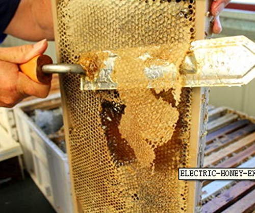 yosoo Abzieher von Honig 220 V Werkzeuge apicoles Zubehör Abrufen von Honig für Imker EU Stecker, – Bild 7