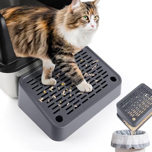 Lanstics gCXebvALpgCX[v O[Lb`[ tB^[@\tLXebv gCp gbLOh~&|ȒP qL&LɍœK (_[NO[)