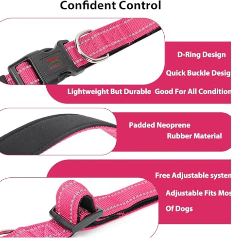 Image of Petology Reflective Adjustable Dog Collar for X-Large Dogs (50-60 cms) | Soft Neoprene Padded Nylon Pet Collar with Safe & Quick Release Buckle | Comfortable, Lightweight & Durable