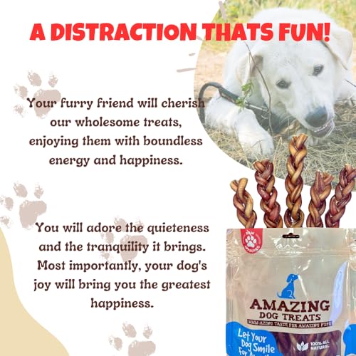 Amazing Dog Treats 6\" Braided Bully Stick (10 Pcs/Pack) - Bully Stick for Dogs - Made from Premium Grass Fed Argentinian Beef - Thumbnail 6