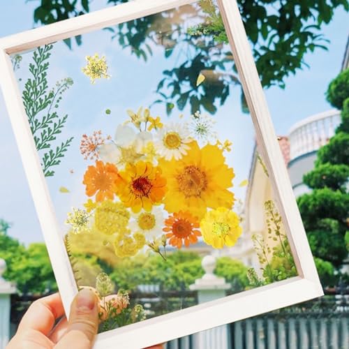 4 Pack Flores Secas Naturales para Resina y Manualidades miniatura 4