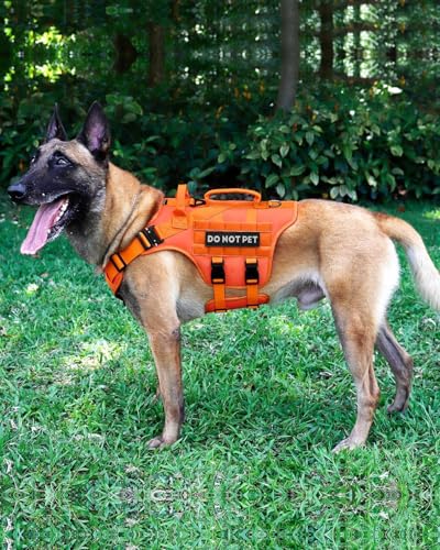 Image of Petnanny Tactical Dog Harness Service Vest for Large Dogs L Orange | Service dog vest with hook loop panel, MOLLE, handle, no pull design for K9 training & daily walks, ideal no pull harness