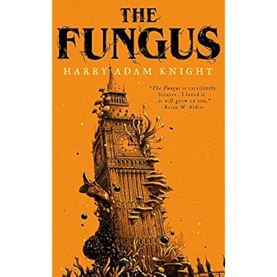 The Fungus