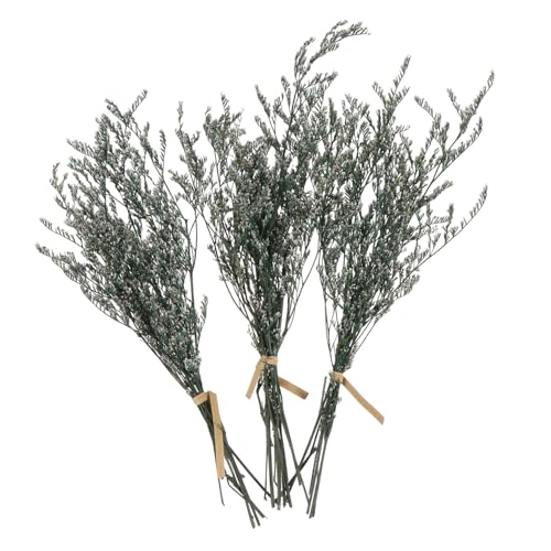 Ramo de flores secas Babysbreath para decoración