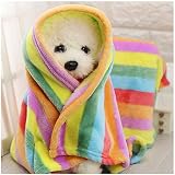 La cálida y cómoda cama para mascotas ofrece un lugar cómodo para su mascota.