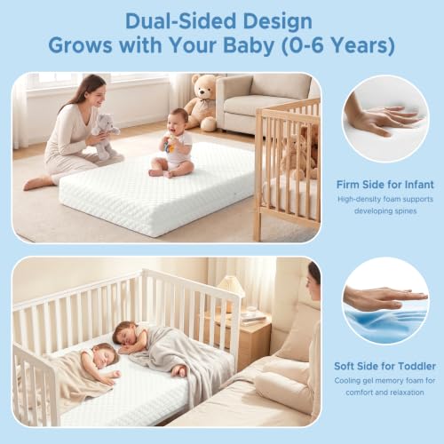 SCHNAUZER HOME Dual Sided Memory Foam Mattress