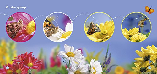 Look Out Butterfly! (Collins Big Cat) - Image 2