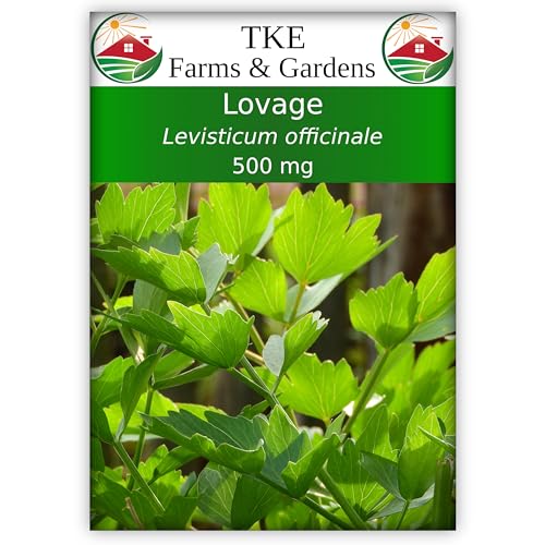 TKE Farms & Gardens - Lovage Seeds for Planting, 500 Mg, 140 Heirloom Seeds, Non-GMO, Packet Includes Instructions for Growing, Levisticum officinale, Qty 1