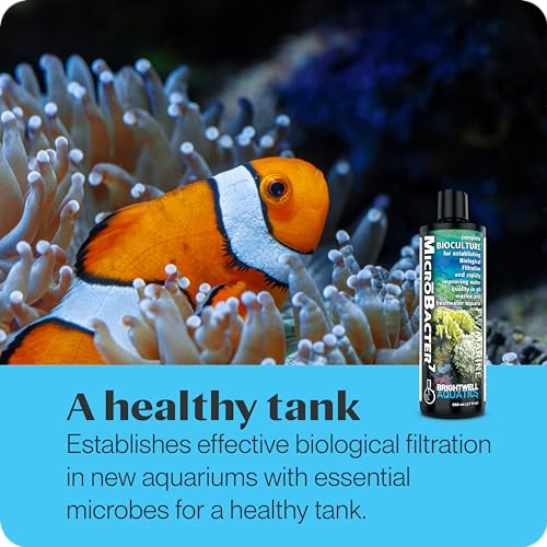 Image of Brightwell Aquatics MicroBacter7 Biological Filter Bioculture Aid, 20L