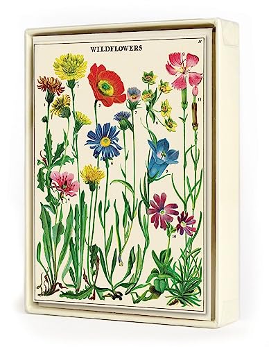 Cartes de notes Fleurs sauvages Cavallini pour remplacer vos mails froids par un mot manuscrit