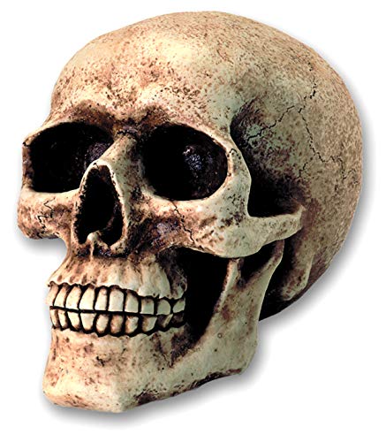 Reproduction Heroic Fantasy Tirelire Crane 18/12/22 cm