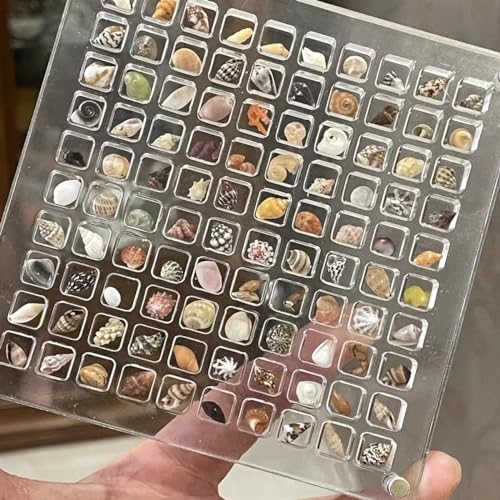 Tiffany & Co. 銀製貝殻型小物入れ Tiffany & Co. 銀製貝殻型小物入れ Tiffany & Co 銀製貝殻型小物入れ