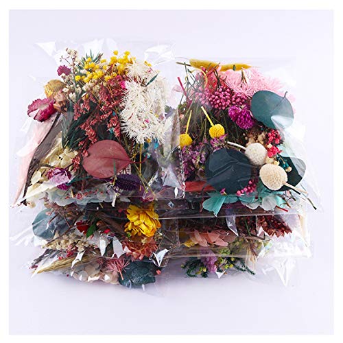 1 bolsa flores secas mezcla real para manualidades miniatura 1