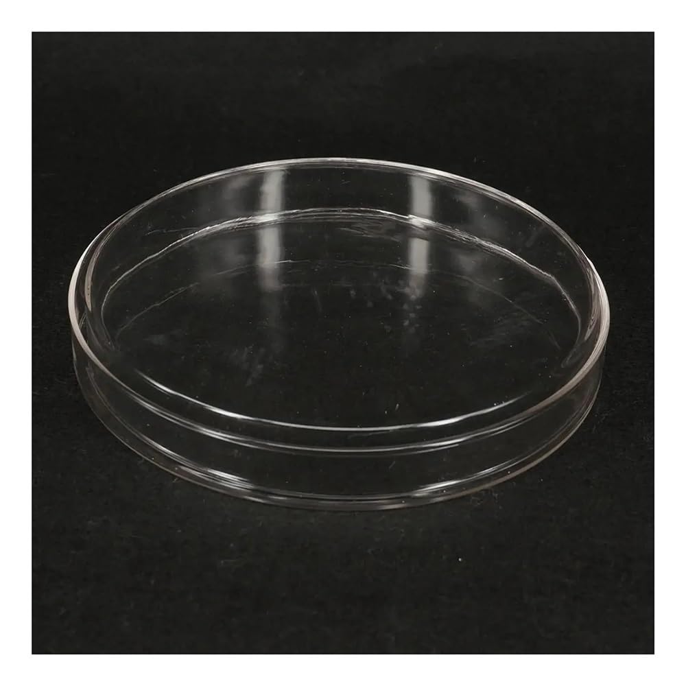 Attrezzature e forniture di laboratorio Piastra di coltura Petri in vetro da 200 mm con coperchio for laboratorio