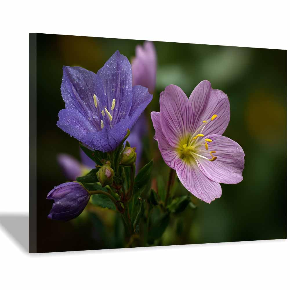 ZAMAEIU Landscape Canvas Painting Purple Flower Dew Wall Decor, Modern Artwork, For Bedroom Living Room Bathroom Home Office Room Decorations(pink)-70x100cm Framed