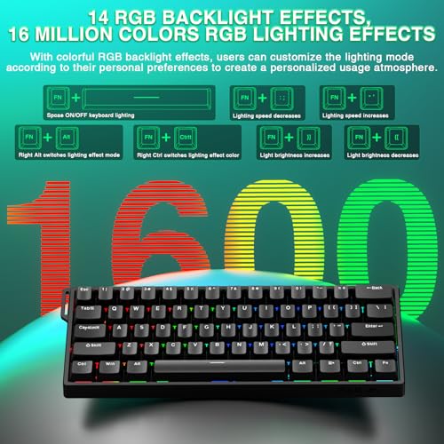 Image of Aula WIN60 HE - 60% Mechanical Gaming Keyboard Wired, Magnetic Switch Hot Swappable, Adjustable Actuation Rapid Trigger Mode, 8000 Hz Polling Rate, RGB Small Keyboard 60 Percent Compact Design for PC