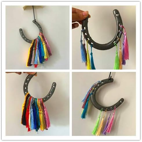 D-Doner Cast Iron Horseshoe Wall Decor, Medium Horseshoe Durable Cast Iron 5 Holes On Each Side for Indoor Or Outdoor(1 pack)…
