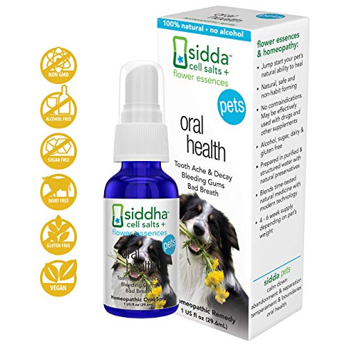 Siddha Remedies Oral Health for Pets Cat Dog Oral Care for Toothache