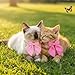 SynHHergyx 2 Pack Pink Cat Collar with Bow, Cute Cat Collar Breakaway with Bells, Pink Bowtie for Girl Cats, Cute Small Kitten Collars with Removable Safety Bowtie