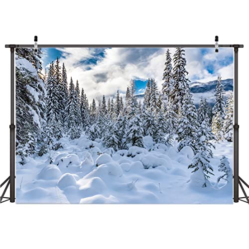 AIIKES 7x5FT Sfondo invernale Cielo all'aperto Fiocco di neve Fotografia Sfondo Foresta innevata Decorazione per feste di Natale Paesaggio di alberi di pino Sfondo fotografico per bambini 12-349