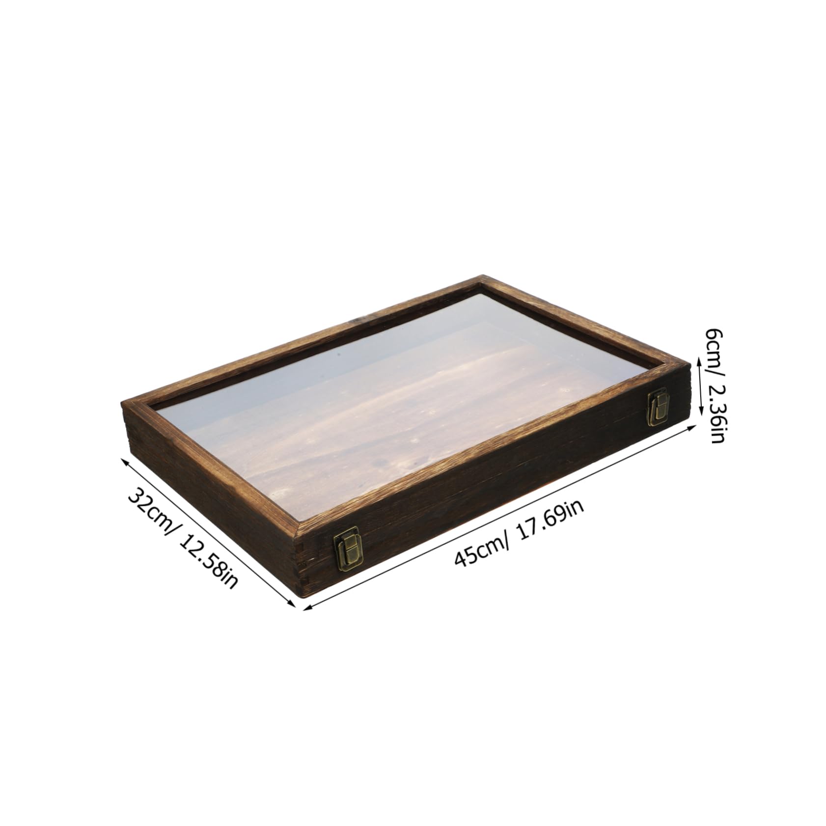 Cabilock Caja de Exhibición de Insectos Vitrina de Madera para Colgar Tapa Transparente Caja de Almacenamiento para Especímenes de Insectos Mariposas y Flores Secas