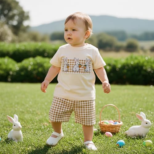 Image of Toddler Baby Boy Easter Rabbit Outfit Short Sleeve Bunny Carrot Smocked T-shirt Elastic Waist Shorts Summer Clothes