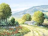 peter motzan Product Type - Fine Art Print Landscape field Poster Print by Peter Motz (11 x 14)