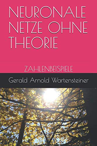 NEURONALE NETZE OHNE THEORIE: ZAHLENBEISPIELE