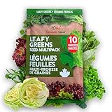 🌿 Experience Freshness🌿 Enjoy the freshest produce right at your fingertips, as you cultivate this variety pack of spinach seeds, kale seeds, lettuce seeds, arugula seeds, and herb seeds for planting in Canada. 🥬 Grow anywhere🥬 Suitable for both trad...