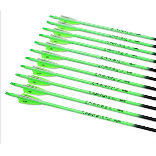 image for Pointdo 30inch Carbon Arrow Fluorescence Color Targeting and Hunting P