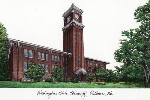 Campus Images NCAA Washington State Cougars Unisex Manhattan Black, Black, One Size