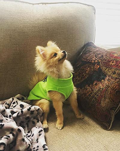 Image of Gooby Fleece Vest Dog Sweater, Lime, Small