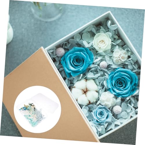 Kit de material de flores secas para manualidades miniatura 7