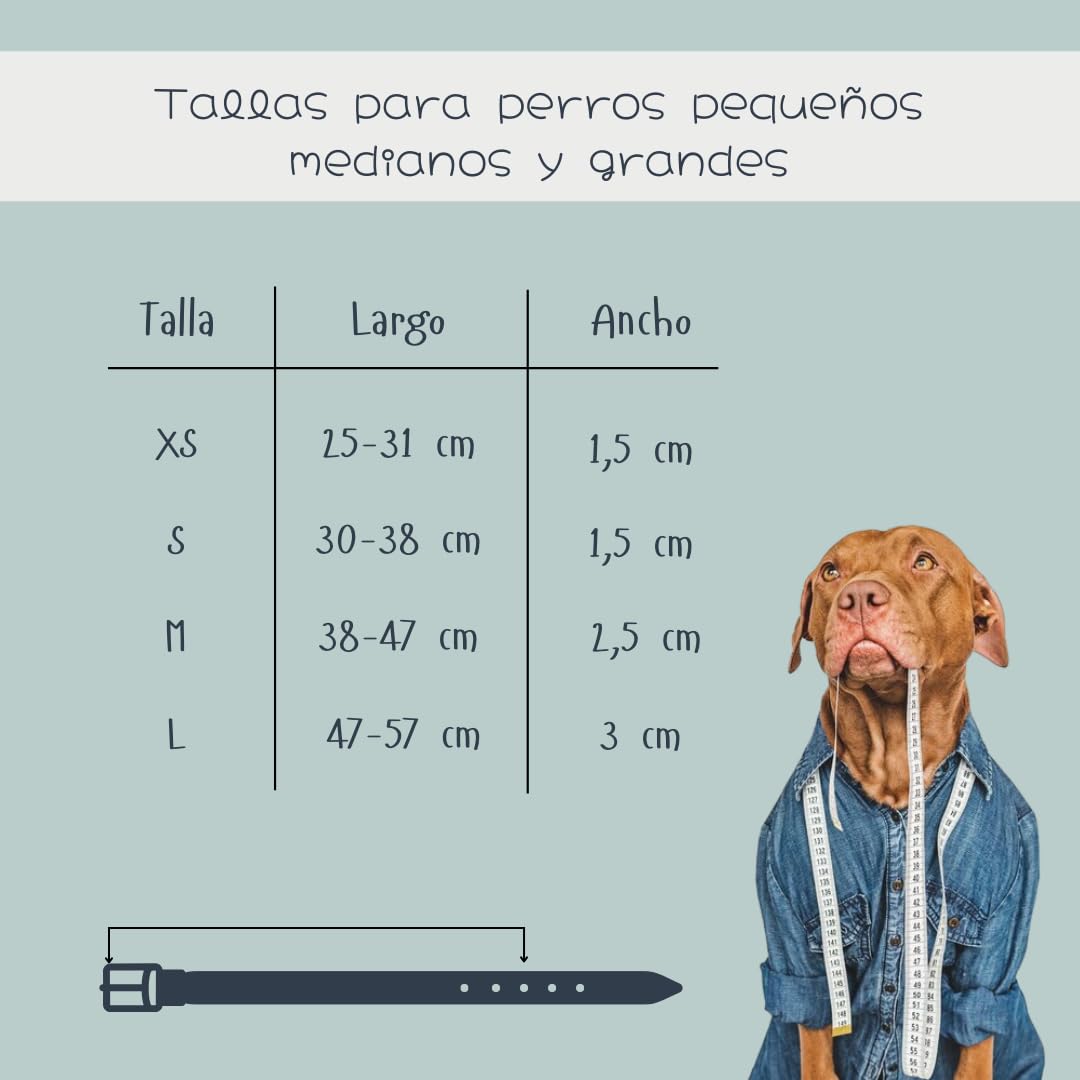 Collar Perro Pequeño, Collar para Perros de Biothane y Paracord con Acero Inoxidable, Pulsera a Juego, Hecho a Mano en España, Impermeable Ajustable y Duradero (Ama, S)