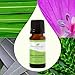 Plant Therapy Nature Shield Essential Oil Blend 10 mL (1/3 oz) 100% Pure, Undiluted, Natural Aromatherapy, for Camping and Outdoor Activities
