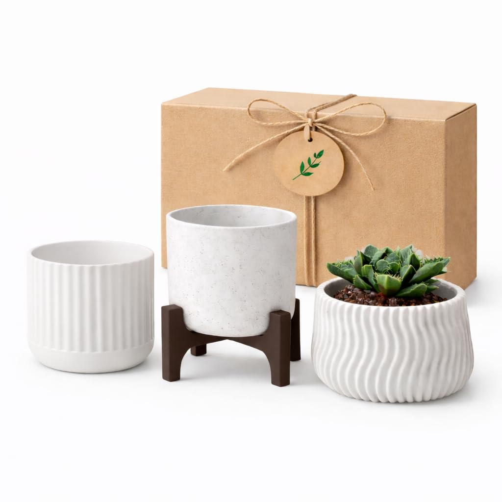 Pots de fleurs design minimaliste en céramique haut de gamme avec socle modulable et coffret