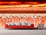Ideal para la decoración de habitaciones