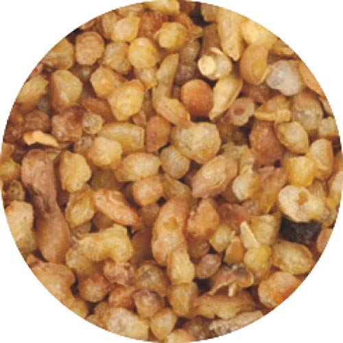 Lerbs & Hagedorn, Mono Kraut Soba Cha - Buchweizen Tee (Leichter Geröstet) | Mild, Nussig, Säuerlich 2kg Ca. (162 Liter) Buchweizen